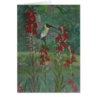 Ruby-throat and Cardinal Flower card