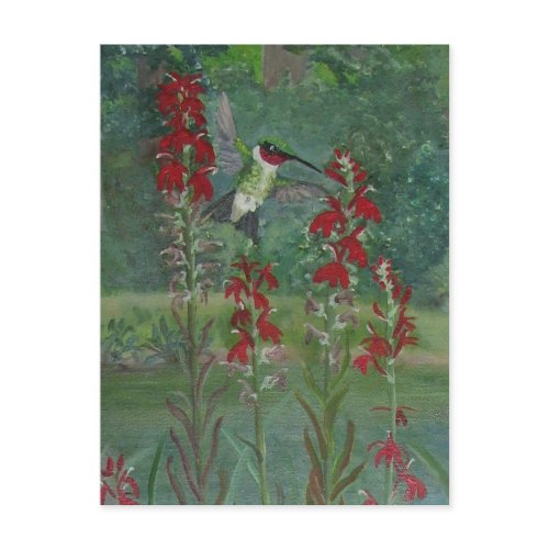 Ruby-throat and Cardinal Flower postcard