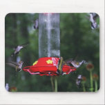 Ruby-throat Fall Migration Mousepad mousepads