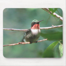 Ruby-throat Flutters Mousepad