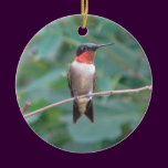 Ruby-throat Hummingbird ornaments