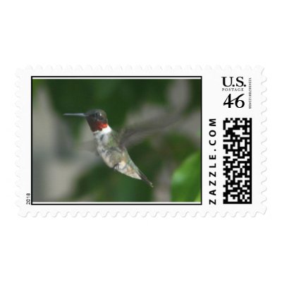 Ruby Throat Hummingbird Postage