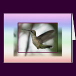 Ruby-throat Joy Card cards