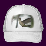 Ruby Throat Joy Hat hats