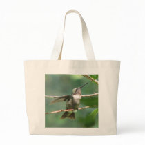 Ruby-throat Male Bag