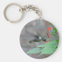 Ruby-throat Sips Keychain