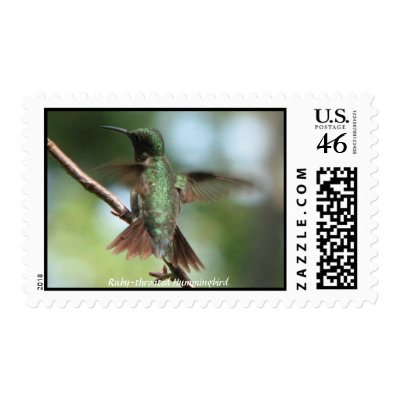 Ruby-throat Takes Wing Postage by naturegirl7