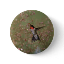 Ruby Throated Humming Bird Pinback Button