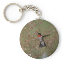Ruby Throated Humming Bird Keychain
