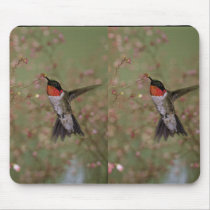 Ruby Throated Humming Bird Mousepads