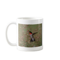 Ruby Throated Humming Bird Coffee Mug