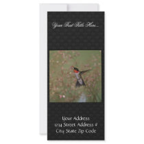 Ruby Throated Humming Bird Custom Rack Cards
