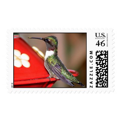 Ruby-Throated Hummingbird 2004_0146a Stamp by MaureenL1