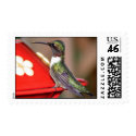 Ruby-Throated Hummingbird 2004_0146a postage
