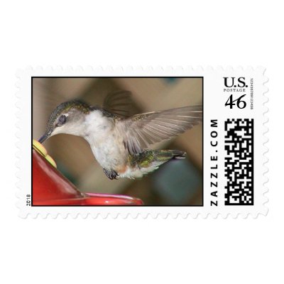 Ruby-Throated Hummingbird 2004_0153a Postage Stamps by MaureenL1