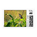 Ruby-Throated Hummingbird 2005_0074a postage