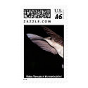 Ruby-Throated Hummingbird 2005_0177a postage