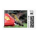 Ruby-Throated Hummingbird 2005_0693 Stamp