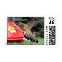 Ruby-Throated Hummingbird 2005_0693 postage