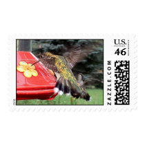 Ruby-Throated Hummingbird 2005_0693 postage by MaureenL1 Ruby-Throated Hummingbird 2005_0693 postage