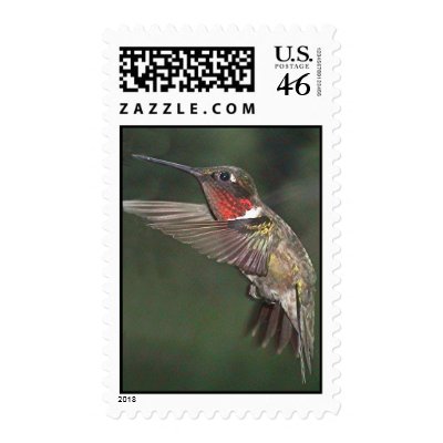 Ruby-Throated Hummingbird 2005_0721a Stamps by MaureenL1