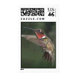 Ruby-Throated Hummingbird 2005_0721a Stamps
