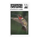 Ruby-Throated Hummingbird 2005_0721a postage