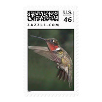 Ruby-Throated Hummingbird 2005_0721a postage by MaureenL1 Ruby-Throated Hummingbird 2005_0721a postage