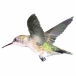 Ruby-throated Hummingbird 2x3 Ornament Photo Cut Out