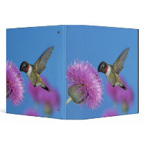 Ruby-throated Hummingbird, Archilochus 4 3 Ring Binders