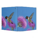 Ruby-throated Hummingbird, Archilochus 4 3 Ring Binders