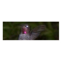 Ruby Throated Hummingbird, Bookmark business cards
