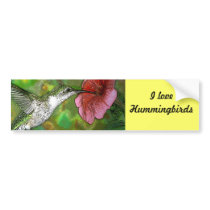 Ruby throated Hummingbird bumper stickers