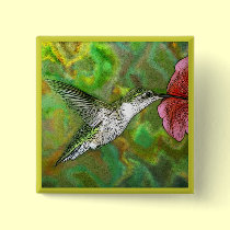 Ruby throated Hummingbird buttons