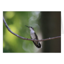 Ruby Throated Hummingbird Card cards