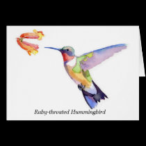 Ruby-throated Hummingbird cards