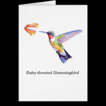 Ruby-throated Hummingbird cards