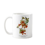 Ruby-throated Hummingbird Coffee Mug mugs by chartingnature Ruby-throated Hummingbird Coffee Mug mugs