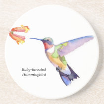Ruby-throated Hummingbird coasters