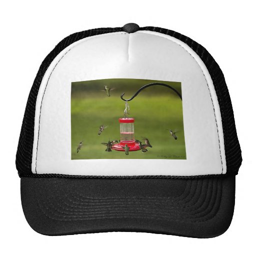 Ruby Throated Hummingbird Feeding Frenzy Trucker Hat Zazzle