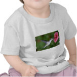 Ruby-throated Hummingbird (female) with petunia T Shirts