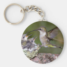 Ruby-throated Hummingbird (female) with young Key Chains