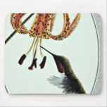 Ruby-throated hummingbird  flowers mousepad