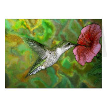Ruby throated Hummingbird Greeting Card