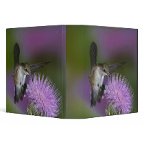 Ruby-throated hummingbird in flight at thistle 3 3 ring binder