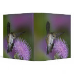 Ruby-throated hummingbird in flight at thistle 3 3 ring binder