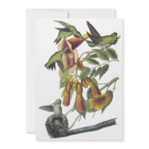 Ruby-throated Hummingbird, John Audubon Invite