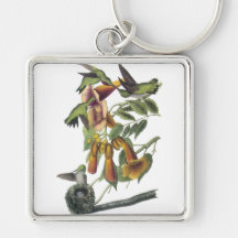Ruby-throated Hummingbird, John Audubon Key Chain