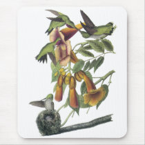 Ruby-throated Hummingbird, John Audubon Mouse Pad