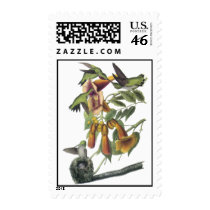 Ruby-throated Hummingbird, John Audubon Postage Stamp